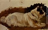 Sir Henry Raeburn Paintings - Study Of A Chow by Sir Edwin Henry Landseer
